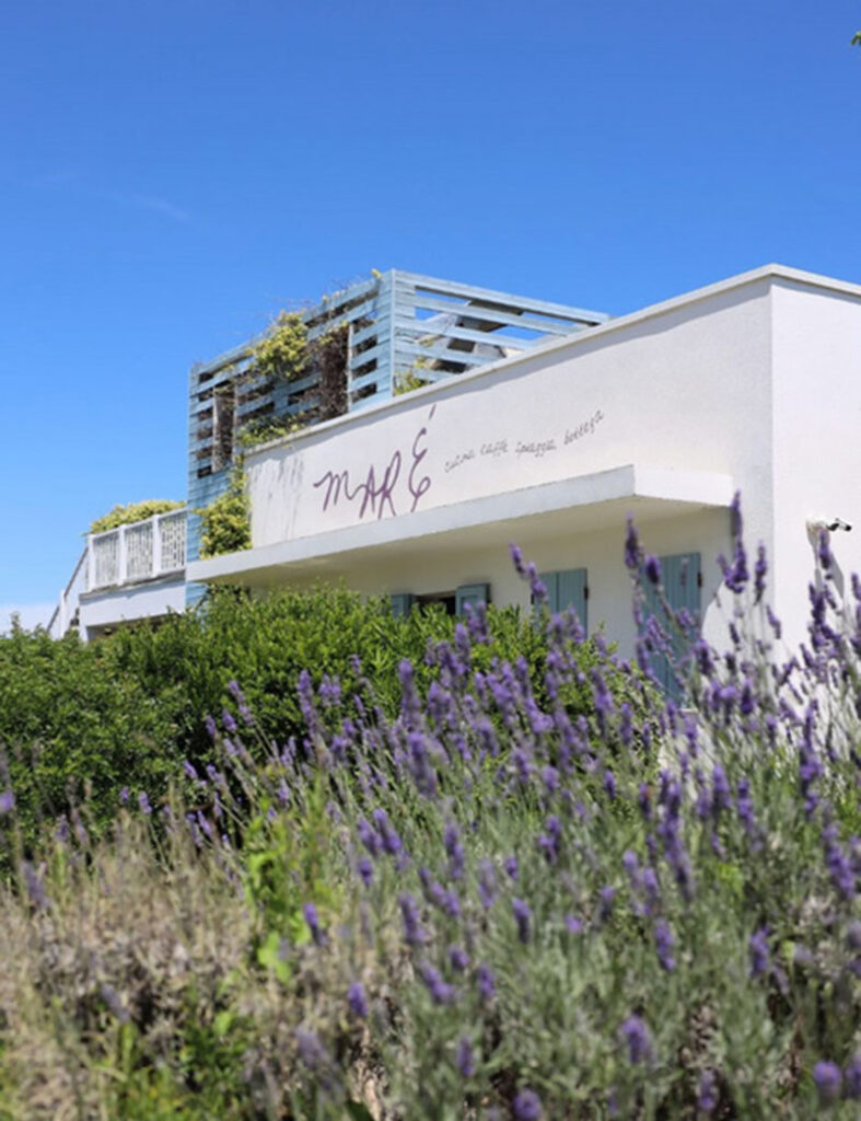 romagna food and drinks